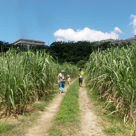 Okinawa Hostel Yanbaru Fukuro Nago Ngoại thất bức ảnh