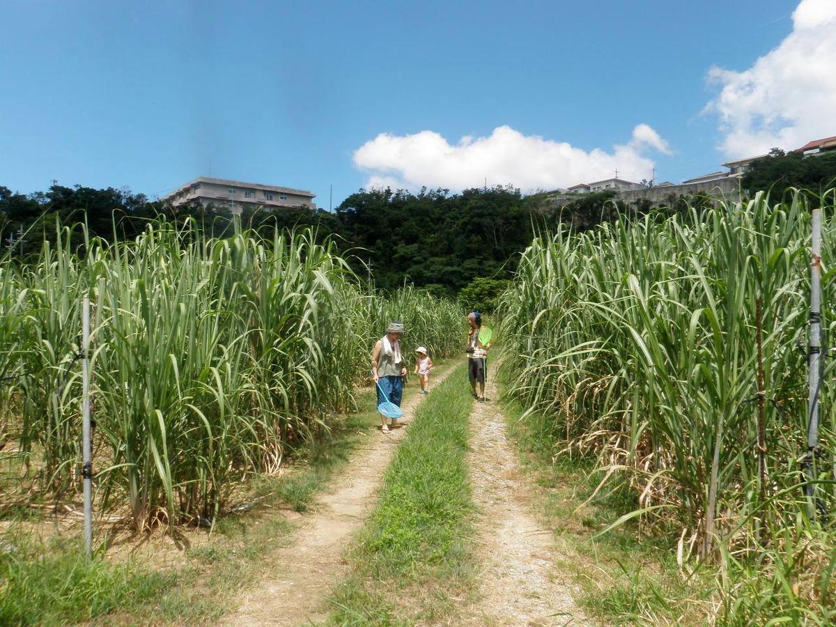 Okinawa Hostel Yanbaru Fukuro Nago Ngoại thất bức ảnh