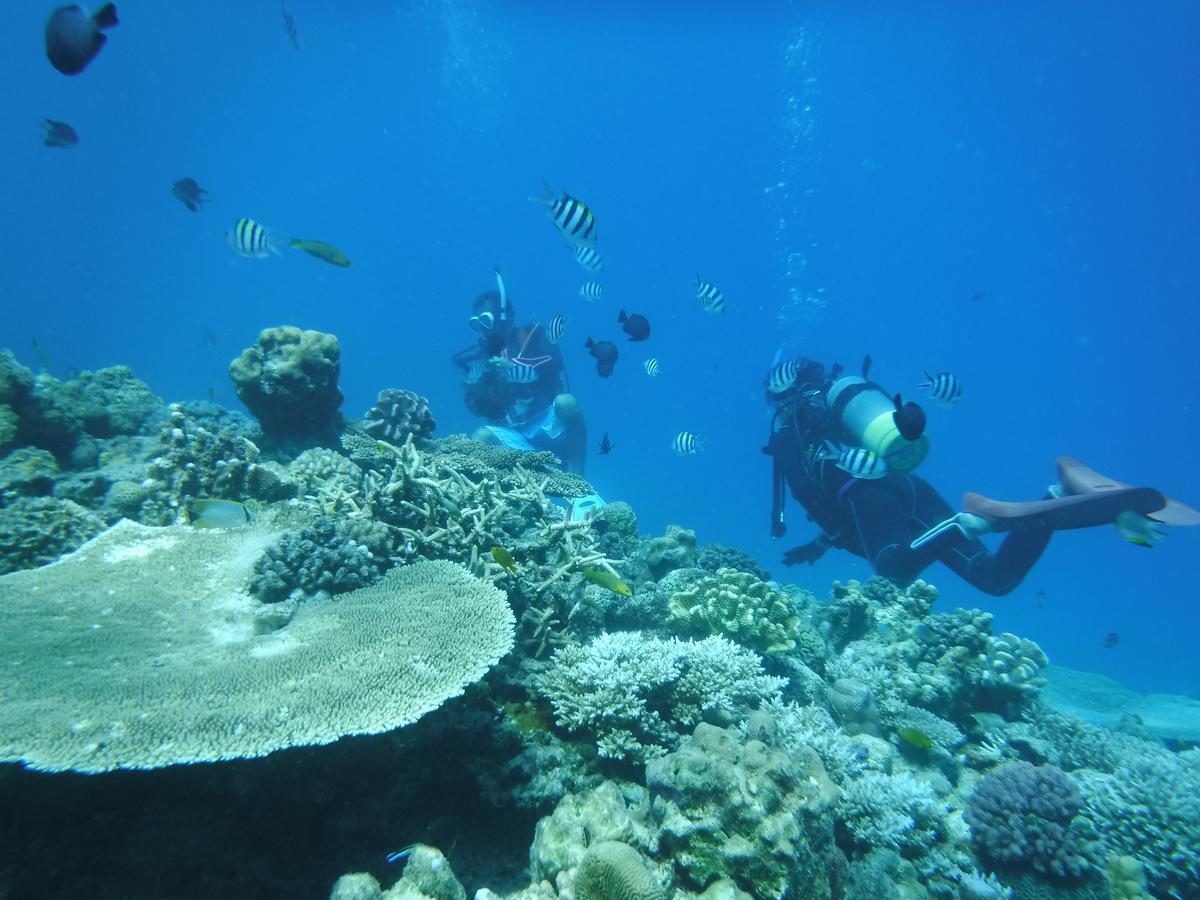 Okinawa Hostel Yanbaru Fukuro Nago Ngoại thất bức ảnh